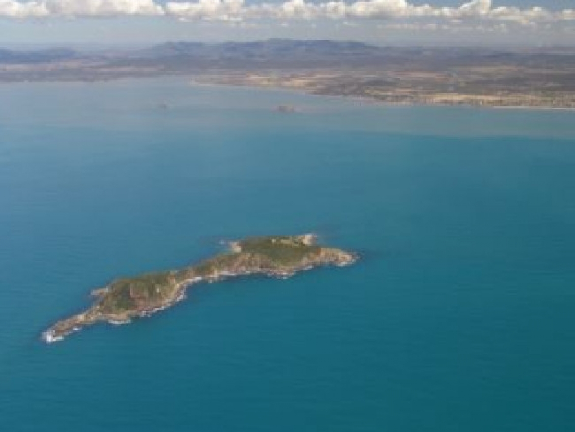 Группа австралийских холостяков продает ставший ненужным остров за 495 000 долларов