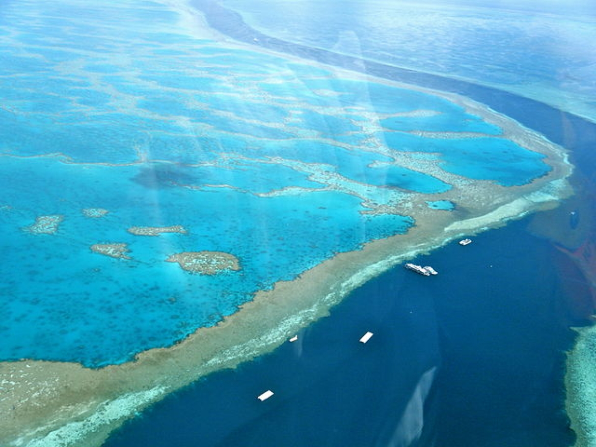 Большой Барьерный риф Австралии восстанавливается